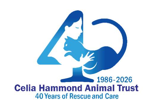 Leading fundraiser image